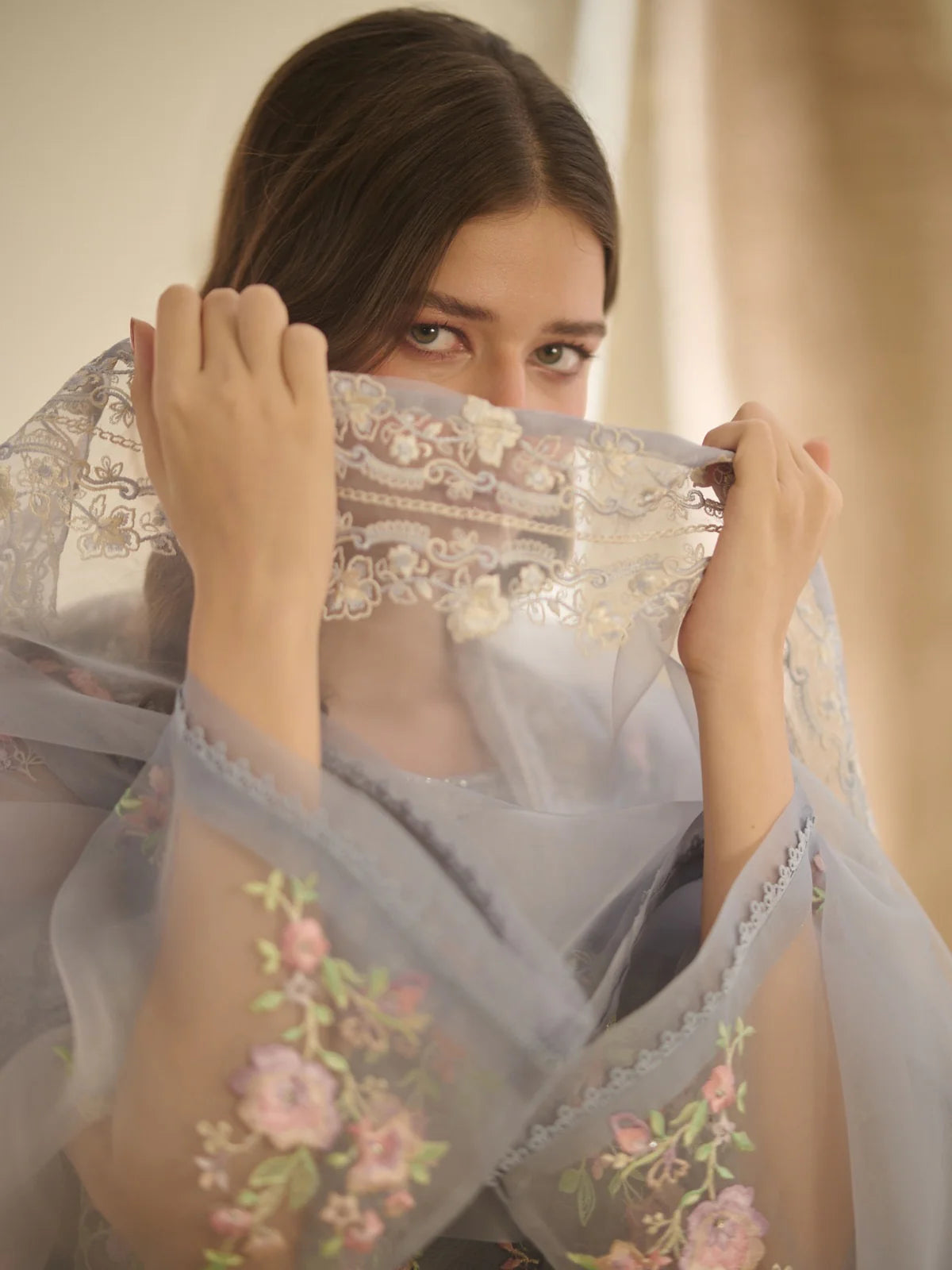 AGHANOOR 3 Piece - Pure Organza Embroidered Suit