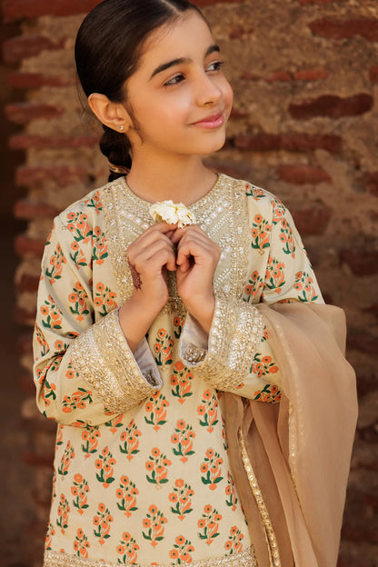 Charizma Embroidered Raw Silk 3 Piece Suit
