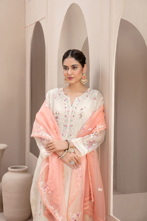 Tawakkal Stitched Embroidered Fancy Organza 3 Piece Suit