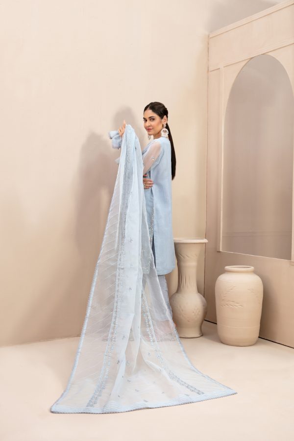 Tawakkal Stitched Embroidered Fancy Organza 3 Piece Suit