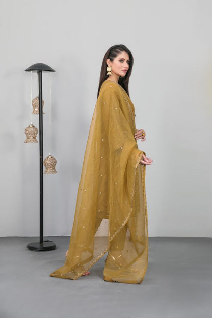 Tawakkal Stitched Embroidered Fancy Organza 3 Piece Suit