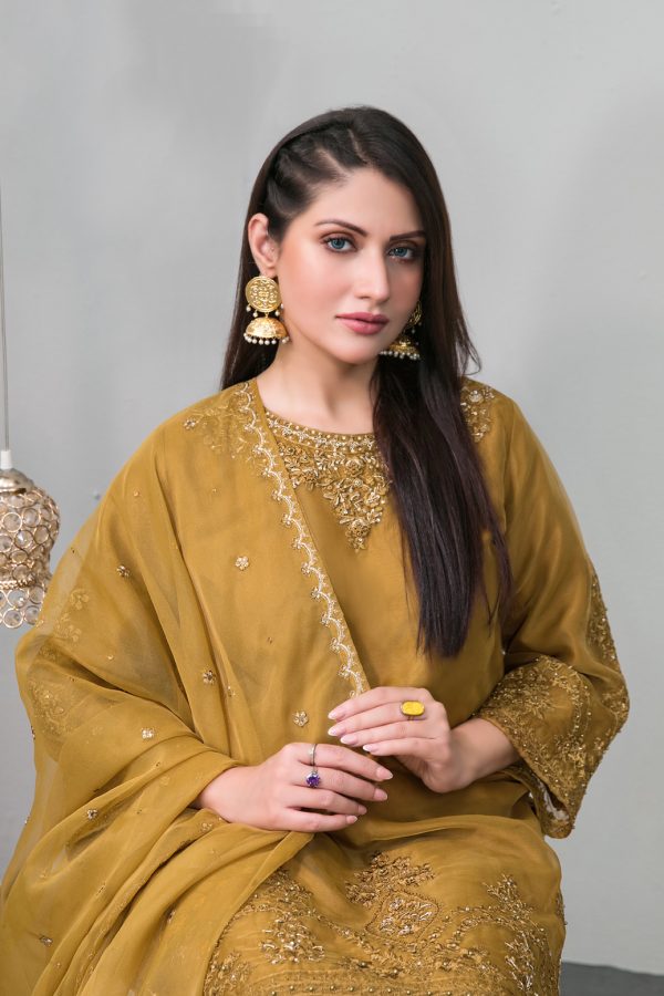 Tawakkal Stitched Embroidered Fancy Organza 3 Piece Suit