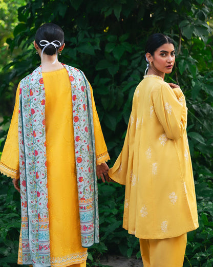 AGHANOOR PIMA COTTON CHIKANKARI EMBROIDERED SHIRT & DUPATTA