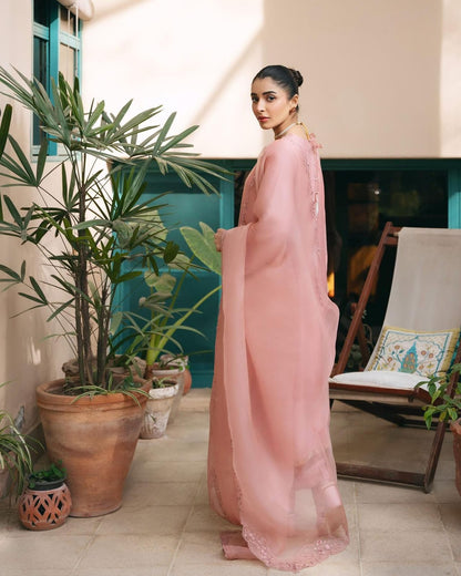 Aghanoor Embroidered Silk Net 3 Piece