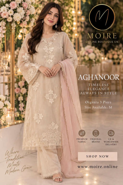 Aghanoor Heavily Embroidered Applique Organza  3 Piece-Offwhite