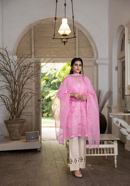 Organza Embroidered 3 Piece Suit