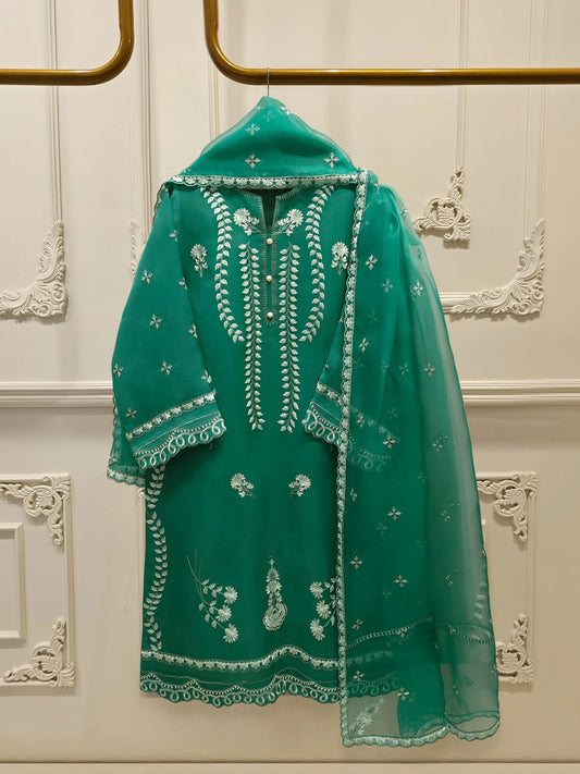 Aghanoor Heavily Embroidered Organza 2 Piece Suit