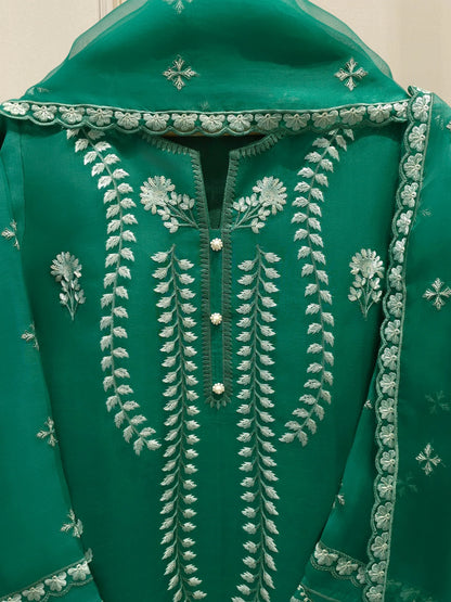 Aghanoor Heavily Embroidered Organza 2 Piece Suit