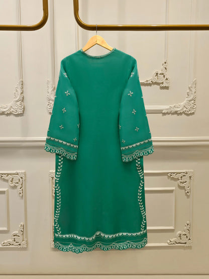 Aghanoor Heavily Embroidered Organza 2 Piece Suit