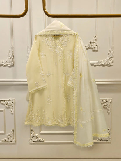 Aghanoor Embroidered Cotton Net 3 Piece Suit
