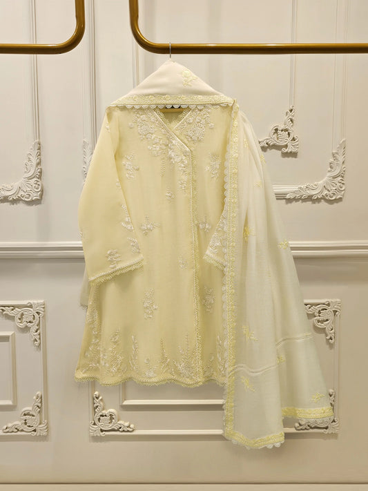Aghanoor Embroidered Cotton Net 3 Piece Suit