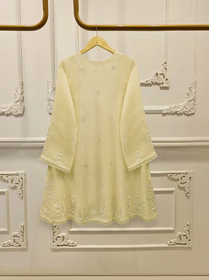 Aghanoor Embroidered Cotton Net 3 Piece Suit