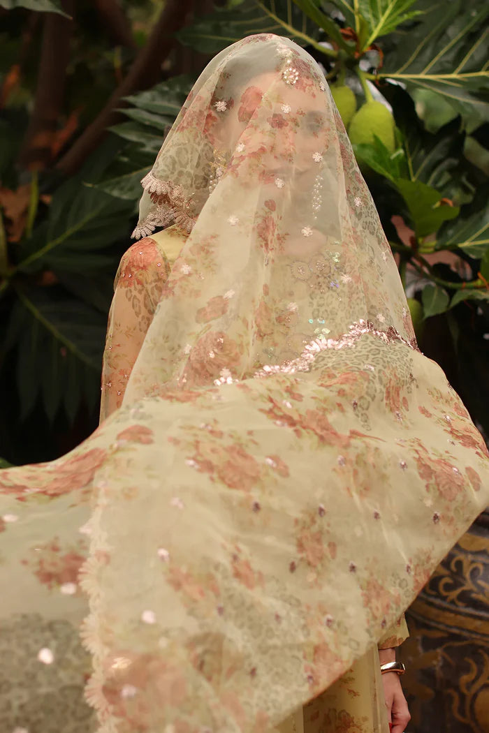 Charizma Mi Amor Embroidered Organza 3 Piece Suit